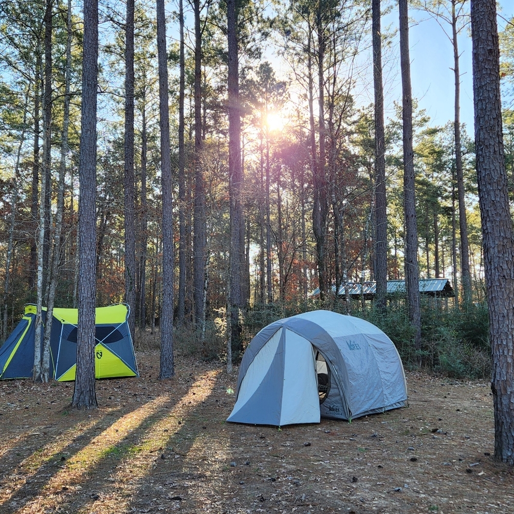 Meet your Posher, Jesse